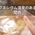 マグネシウム温泉のある宿 関西