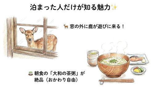 泊まった人だけが知る魅力